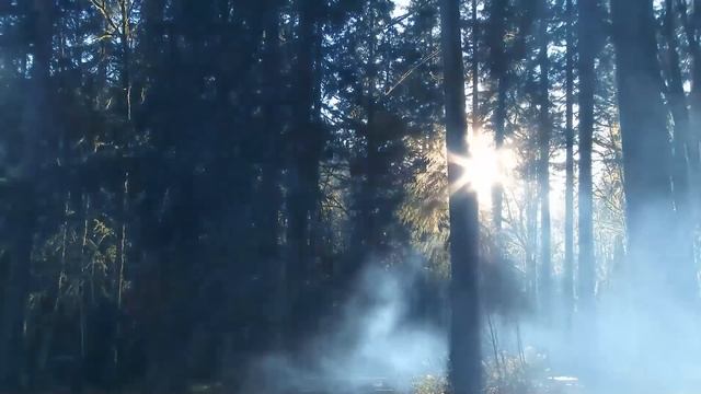 Разговаривая с мужем по телефону, жена неожиданно уло? смотреть онлайн