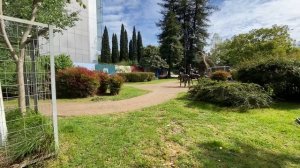 Где выпить минеральной воды в Сочи // пешеходная зона