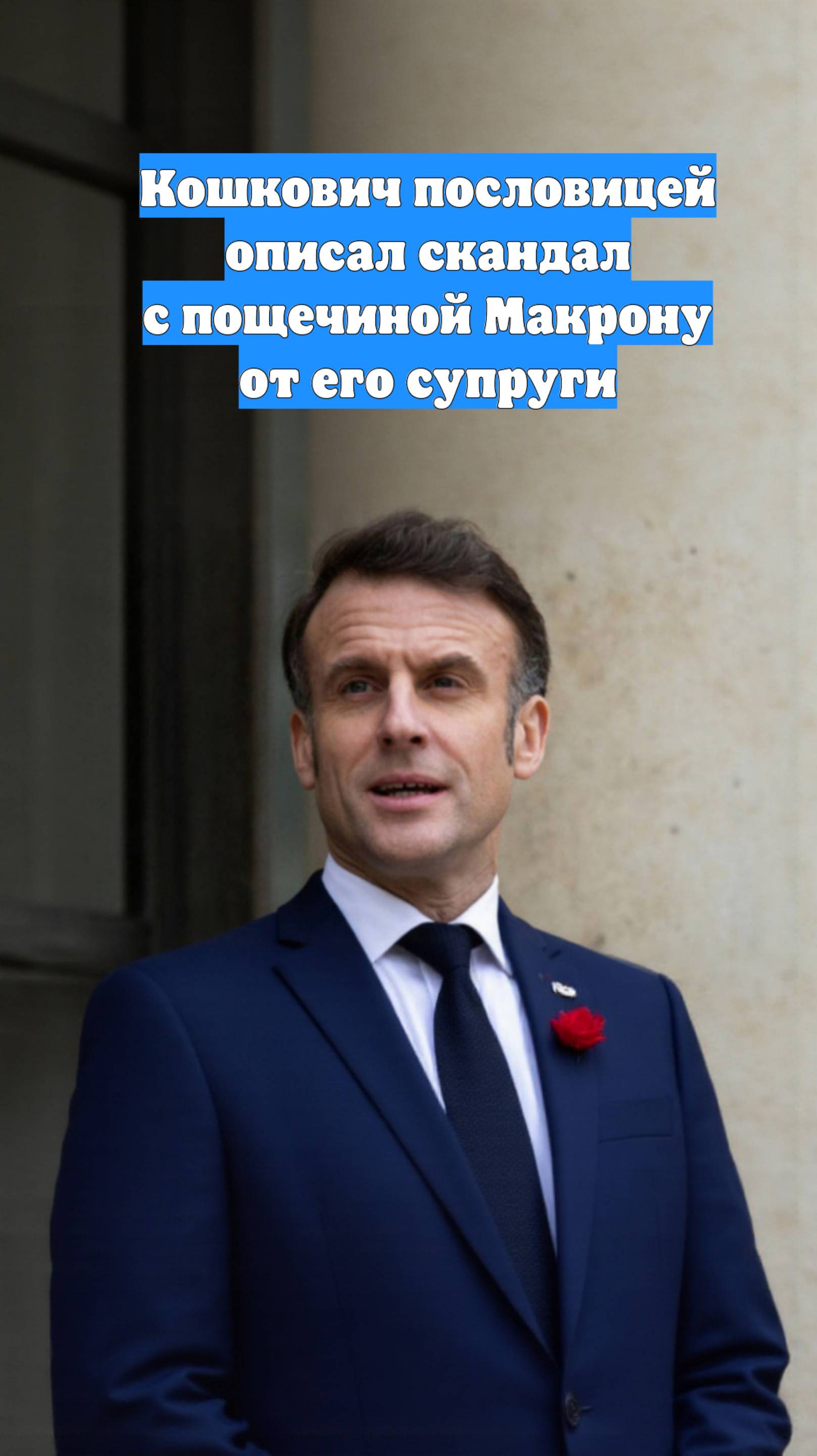 Кошкович пословицей описал скандал с пощечиной Макрону от его супруги