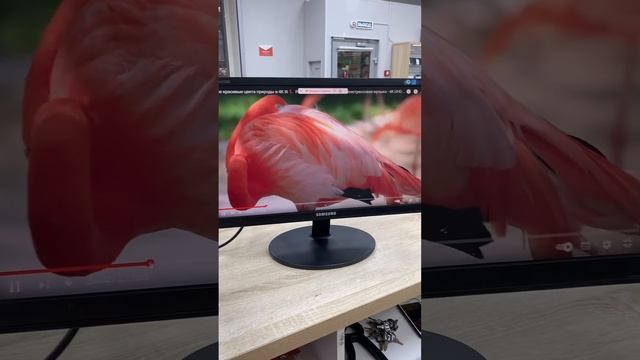 Монитор Samsung e2220 смотреть онлайн