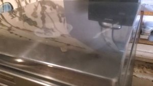Краткий обзор музыкального центра SONY  MODEL NO.HMK-V102