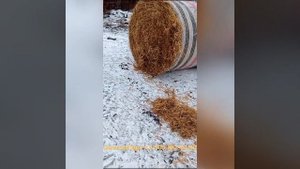 ВЛЮБИЛСЯ в ТЮК | Krone Round Pack 1250 | РЕАЛЬНЫЙ ОБЗОР