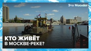 Кто живёт в Москве-реке?|Это Москва — Москва 24|Контент