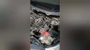 Новосибирск Veze обслуживание выжимного и Фрид когда краилово ведёт к попадалову