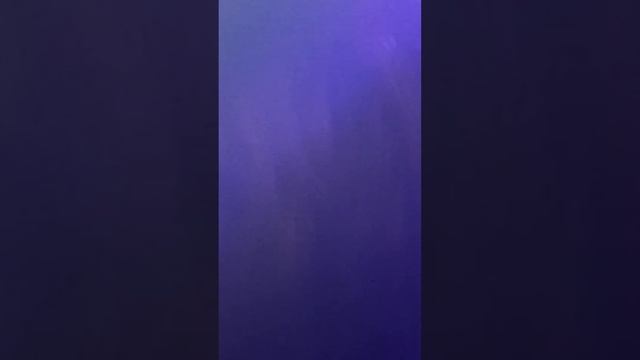 топалкo.Topalko koncert u Cupriju 2019. Uzivo pola sata 32 min смотреть онлайн