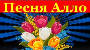 Песня Алло Песни популярные Кавер лучшее исполнение ремейк
