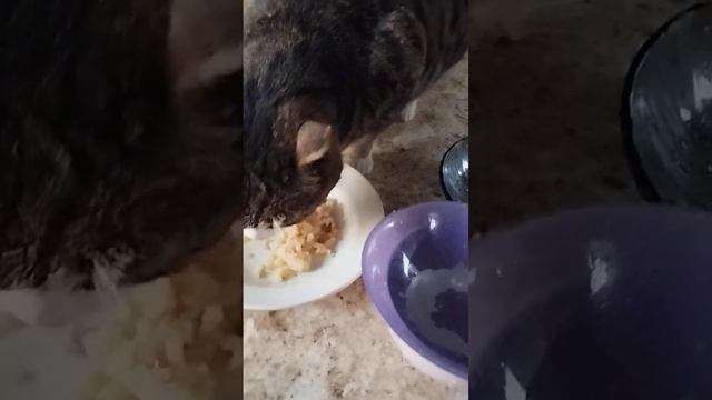 Про меню, видео 2 смотреть онлайн