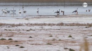 Наша Сибирь 4К: Озеро Ханкуль