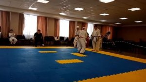 Каратэ киокушинкай, нокаут, полный бой