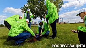 Посадка_на_Поклонной_горе