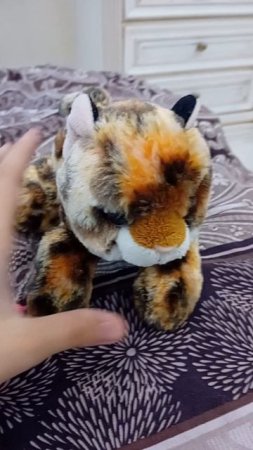 Котик на прощание