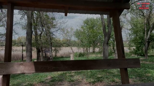 ПАПА НАУЧИЛ МЕНЯ ДЕЛАТЬ ТО, ЧТО МАМА ОТРИЦАЛА - Аудио Р? смотреть онлайн