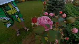 камера insta 360 one x2 примеры видео