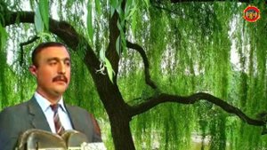 Халим Жўраев ижросида бир дона қўшиқ этиборингизга х?