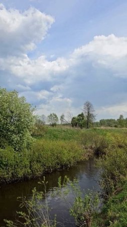 Открываем Россию река Печегда Ярославская область