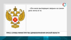 Бешеные белки