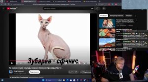 T2X2 СМОТРИТ КАКОЙ ОН КОТ || На каких кошек (пароды кошек)