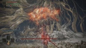 ELDEN RING. Маления через Нагинату Элеоноры