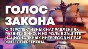 О перспективных направлениях развития НКО. "Голос закона"