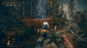 Elden Ring. DLC. Как найти Безымянный северный мавзолей.