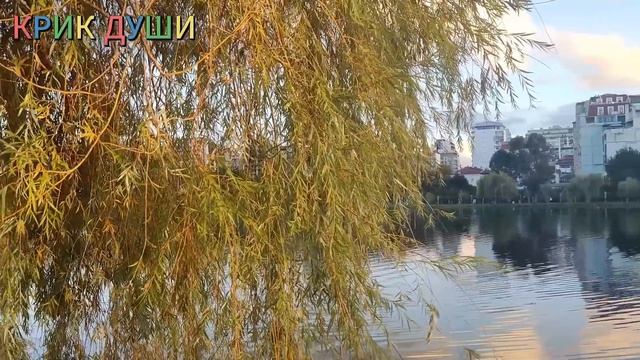 Оля вдруг обнаружила, что оставила дома свой телефон. ? смотреть онлайн