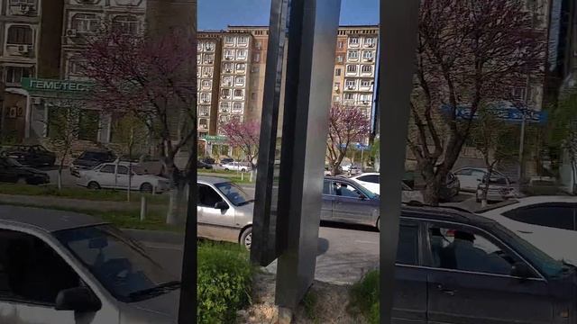 📍Shymkent #Казахстан #Қазақстан #Kazakhstan #Qazaqstan #Шымкент#Shymken