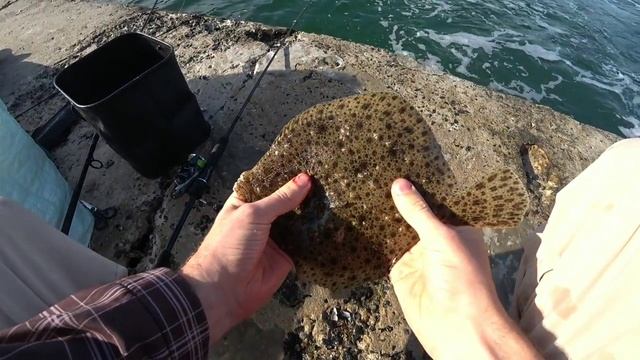 Ловля камбалы,луфаря на воблеры в Черном море.