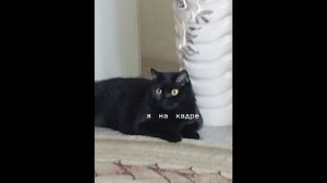 о том как я снимаю видео