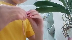 1 часть ( 2 часть уже на канале)