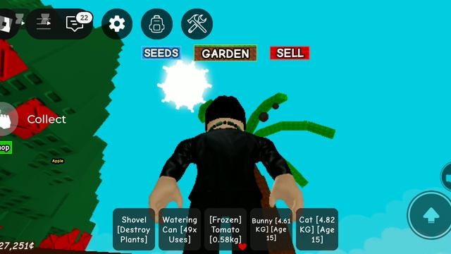 Roblox