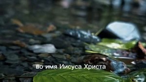 Слово на неделю.mp4