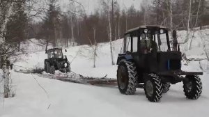 Таатта Дэбдиргэ Мас соһуутугар МТЗ трактордар күрэхтэһиилэрэ
