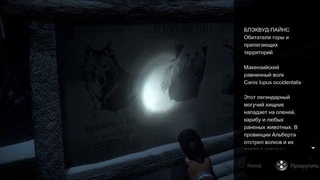 Прохождение Дожить до рассвета на Ps5 Part 2 смотреть онлайн