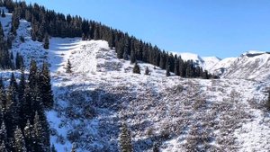 ОХОТА НА КОСУЛЮ В КАЗАХСТАНЕ #охота #косуля #казахстан