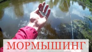 Мормышинг на малой реке. Рыбалка на спиннинг с берега