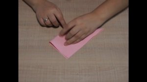 Бабочка и Жучок из бумаги