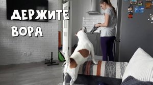 Подкараулил, и воплотил свой коварный план 😂