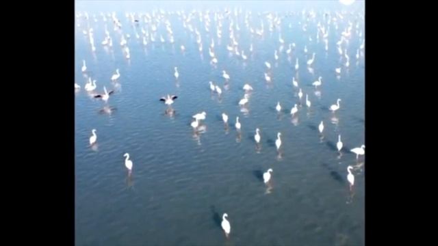 Если бы это не сняли на камеру дрона, Никто бы точно не смотреть онлайн