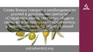 26 мая 2025. Святость и спасение. Под сенью благодати _ Адвентисты