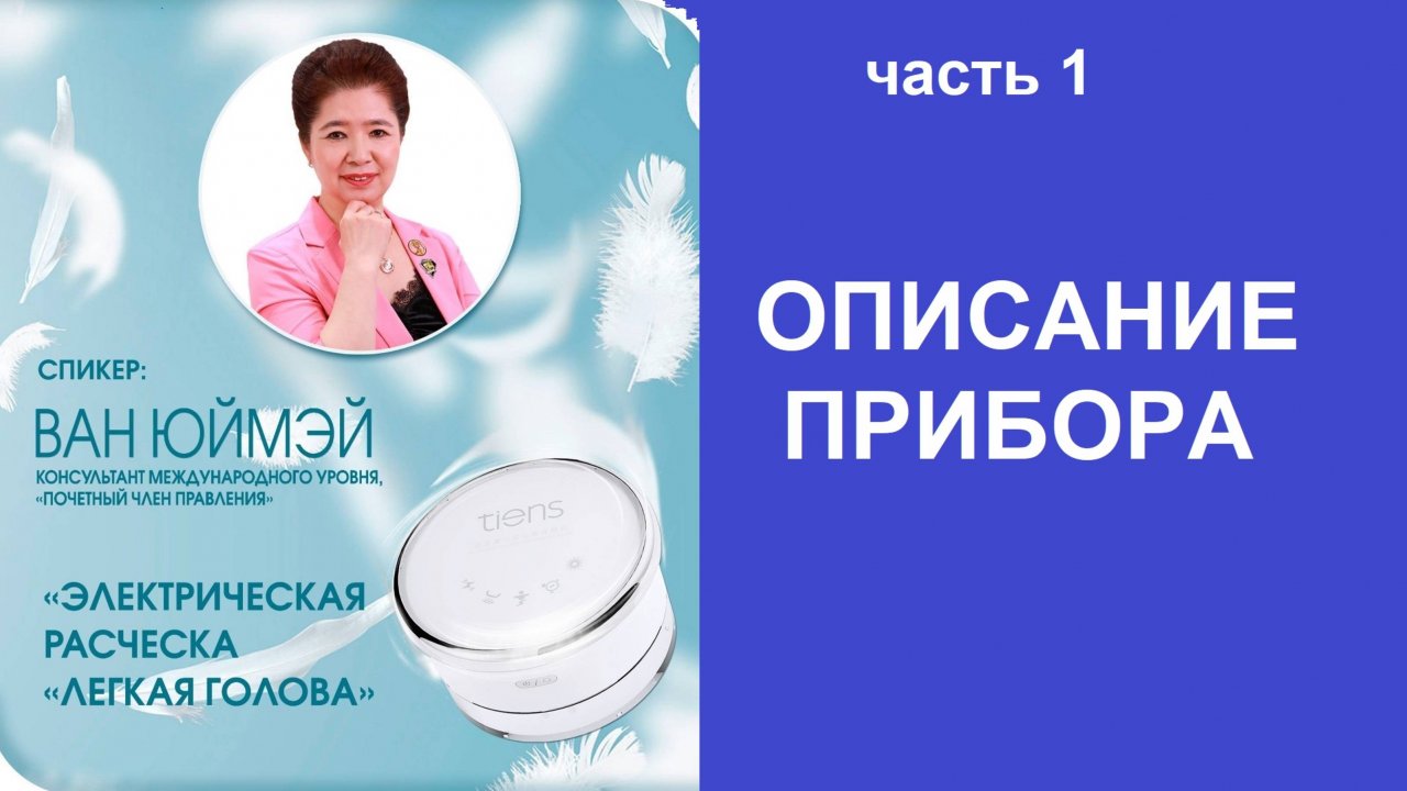 1.ОПИСАНИЕ ПРИБОРА "Электрическая расческа ЛЕГКАЯ ГОЛОВА"