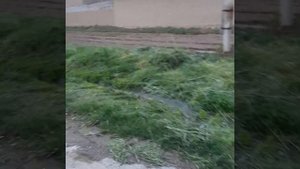 Деревня вдоль завода ENTER STEEL, Узбекистан, Янгиюль.