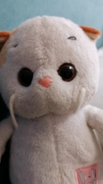 Тапо лапка!