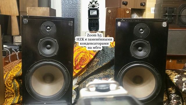 Zoom h1 vs Zoom h5 speaker recording Сравнение стереорекордеров , звук смотреть онлайн