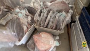Кубанские полицейские пресекли нелегальное производство морской и речной рыбной продукции