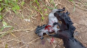 сериал проклятие 2 серия