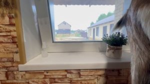 Жизнь в селе - ТУАЛЕТ НА УЛИЦЕ