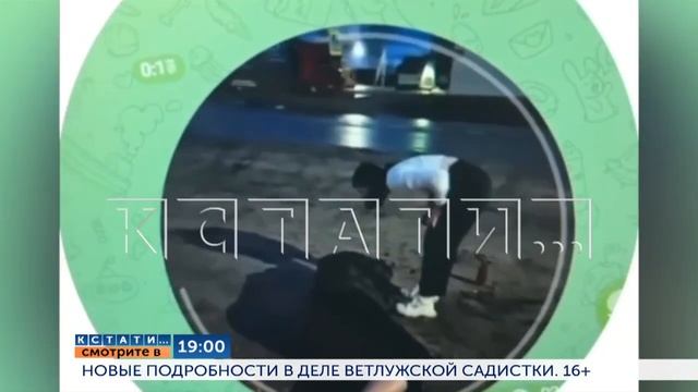 Смотрите сегодня в 19.00 в программе "Кстати": Новые подр? смотреть онлайн