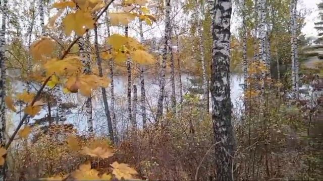 ВЕНЁВ - САМЫЙ ИНТЕРЕСНЫЙ ГОРОД РОССИИ. смотреть онлайн