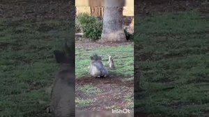Доброе утро !😊Сегодня - Всемирный день рыжих !!!!