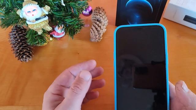 IPhone 12 Pro  Max  в 2025 году.